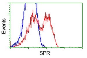 SPR Antibody (clone OTI3D6)