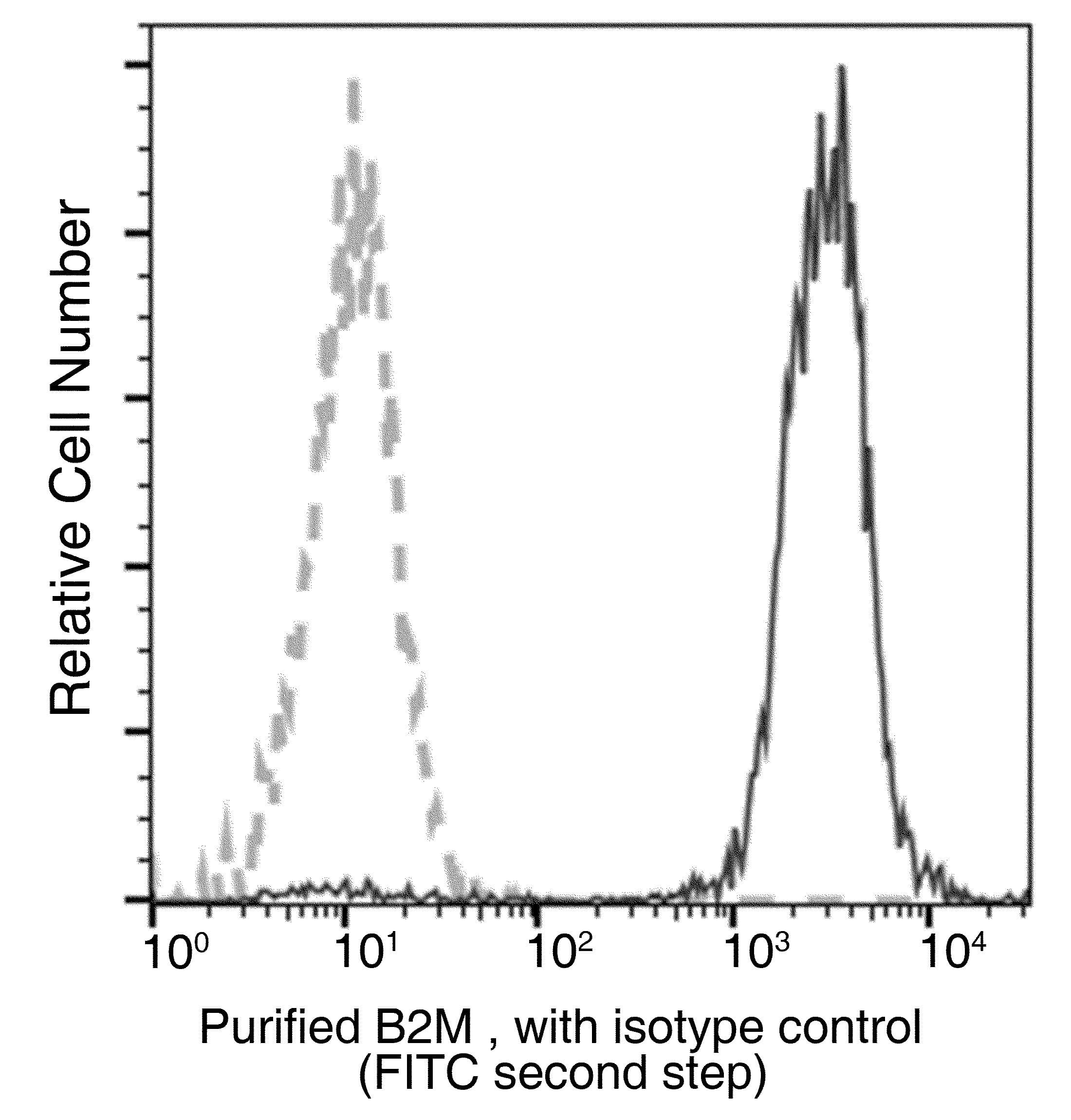 B2M / Beta 2 Microglobulin Antibody (clone 34, Preservative Free)