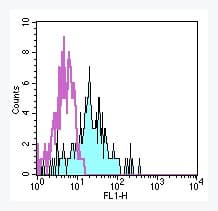 ITGAX / CD11c Antibody (clone 3.9, FITC)
