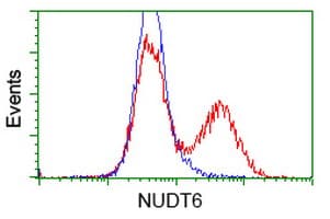 NUDT6 Antibody (clone OTI6H3)