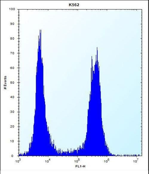 ARSF / Arylsulfatase F Antibody (aa236-264)