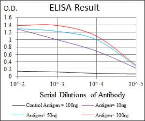PDX1 Antibody (clone 2G12)