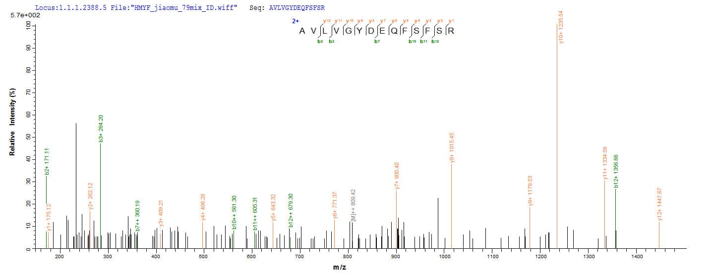 Mouse PDXP / Pyridoxal Phosphatase Protein (Recombinant 6His-SUMO, N-terminus)