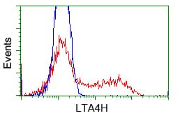 Monoclonal Mouse anti-Human LTA4H / LTA4 Antibody (clone OTI6B5, IHC, WB)