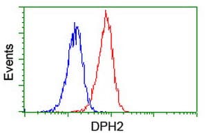 DPH2 Antibody (clone OTI2B12)