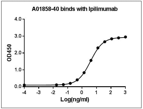 Ipilimumab Antibody (clone 4H6E1D4, Biotin)