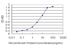 Monoclonal Mouse anti-Human PSMC4 Antibody (clone 3G8, IF, WB)