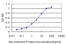 IHC-plus™ Monoclonal Mouse anti-Human GSTA1 Antibody (clone 2F7, IHC, WB)