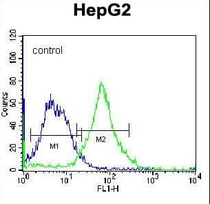 FNDC7 Antibody (aa705-735)