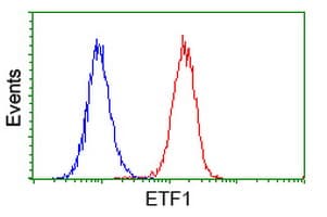 ETF1 / ERF1 Antibody (clone OTI2E3)