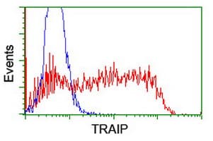 TRAIP / TRIP Antibody (aa67-313, clone OTI1G3, Carrier-free)