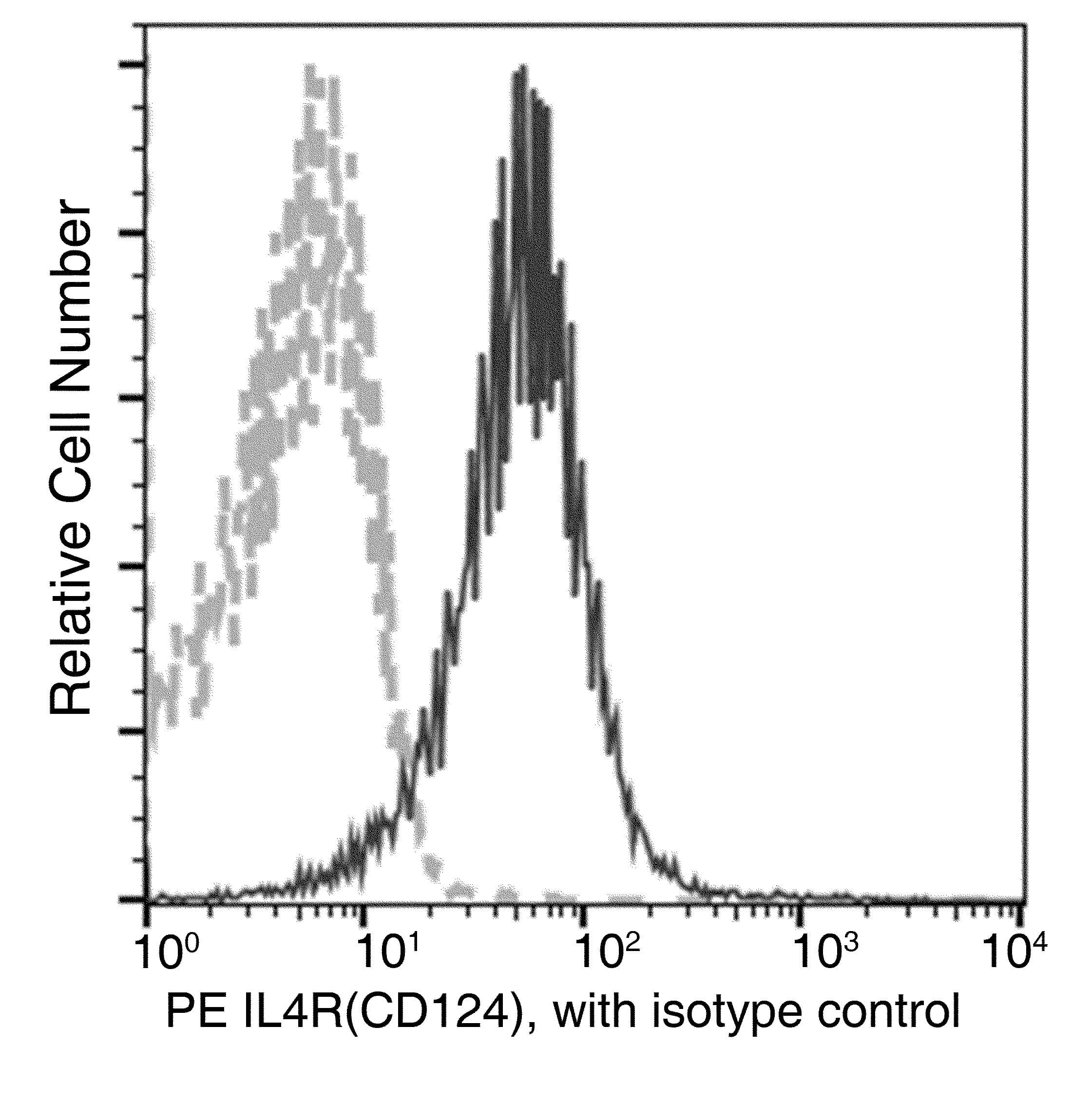 IL4R / CD124 Antibody (clone 002, PE)