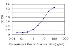 RBMXL2 Antibody (clone 6F11)