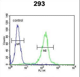 STEAP2 Antibody (aa229-258)