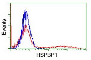 HSPBP1 Antibody (clone OTI2C8, Carrier-free)