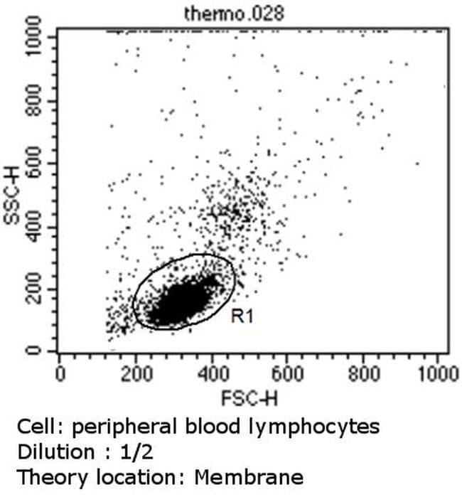 Polyclonal Goat Anti-Rabbit IgG Secondary Antibody (DY488, IHC, IF, WB)
