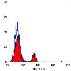 Monoclonal Rat anti-Dog CD8 Antibody (clone YCATE55.9, FITC)