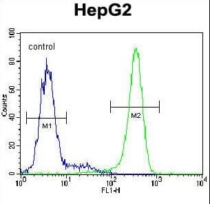 EMC1 Antibody (aa866-894)