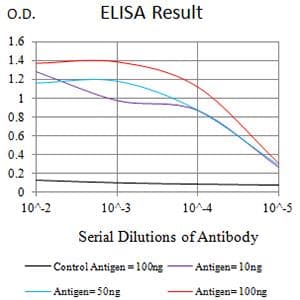 TNFRSF12A / TWEAK Receptor Antibody (clone 5C9B4)