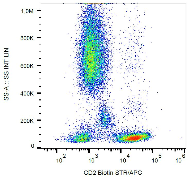 CD2 Antibody (clone MEM-65, Biotin)