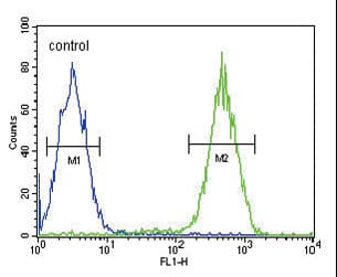 ITGAM / CD11b Antibody (aa253-282)