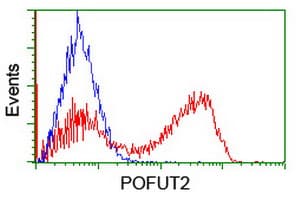 POFUT2 Antibody (clone OTI3A12, Carrier-free)