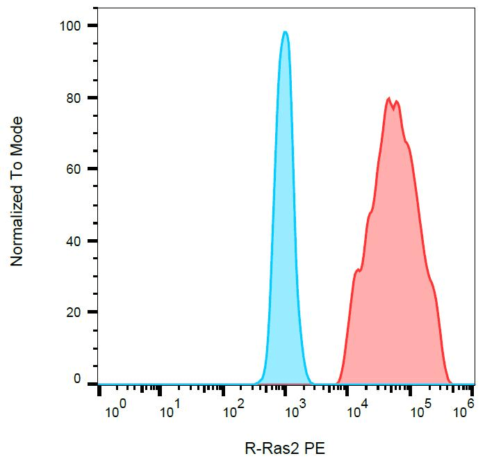 TC21 / RRAS2 Antibody (clone EM-50, PE)