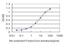POLR1C / RPA39 Antibody (clone M1)