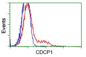 CDCP1 Antibody (clone OTI4G5, Carrier-free)
