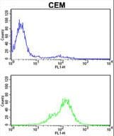 TPI1 / TPI Antibody (aa258-286)