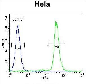IHC-plus™ Polyclonal Rabbit anti-Human LIN28A / LIN28 Antibody (aa108-138, IHC, IF, WB)