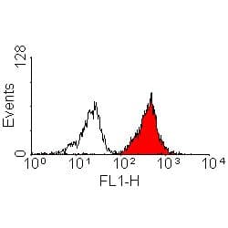IHC-plus™ HLA-A2 Antibody (clone BB7.2, Low Endotoxin)