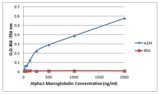 A2M / Alpha-2-Macroglobulin Antibody (clone F1-P1C11 #3)