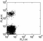 FCER2 / CD23 Antibody (clone EBVCS2, FITC)