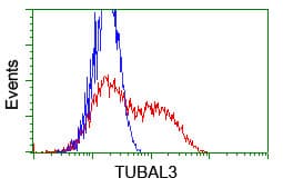 TUBAL3 Antibody (clone OTI4D8)