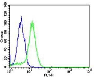 USP11 Antibody (aa32-300, clone 1220CT620.193.189)