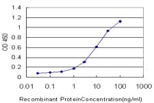 Monoclonal Mouse anti-Human PNLIPRP2 Antibody (clone 4F10)