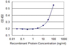Monoclonal Mouse anti-Human CRMP1 Antibody (clone 2B6, WB)