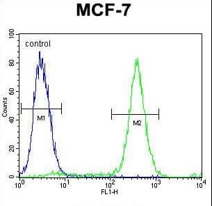 QTRTD1 Antibody (aa321-350)