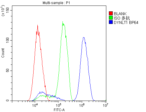 Polyclonal Rabbit anti-Human DYNLT1 / TCTEX-1 Antibody (IHC, WB)
