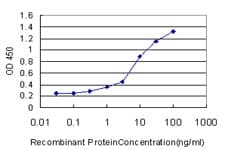 Monoclonal Mouse anti-Human MED1 / TRAP220 Antibody (clone 2A2, IF, WB)