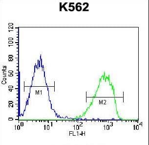 SPINK8 Antibody (aa63-91)