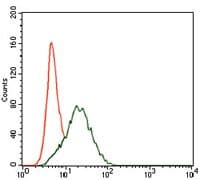 PTPN11 / SHP-2 / NS1 Antibody (Amino Acid: 263-329, clone 6D9)