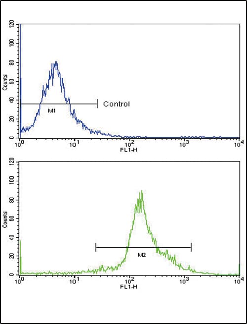 PPIA / Cyclophilin A Antibody (aa8-37)