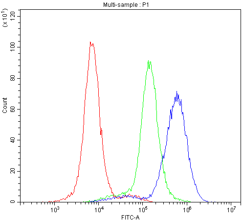 Polyclonal Rabbit anti-Human RAB27A / RAB27 Antibody (IHC, WB)