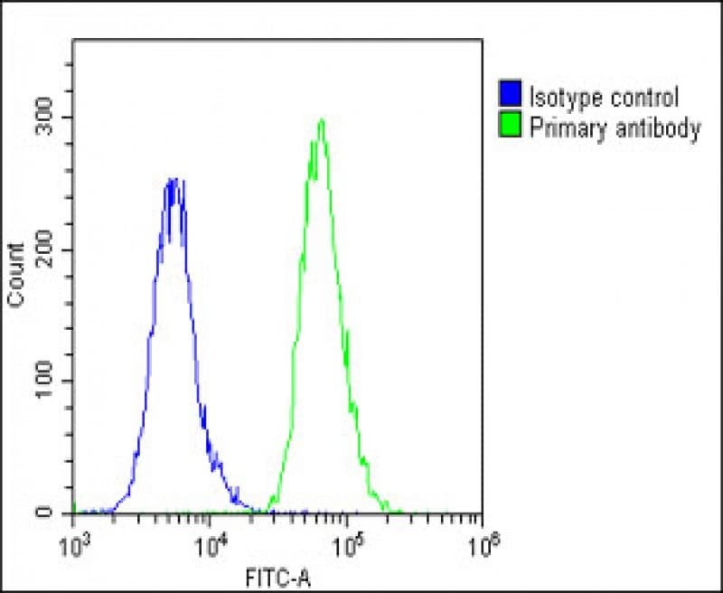 BCL2L10 / Diva Antibody (Internal)