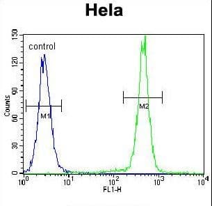 PCDHB10 Antibody (aa766-794)