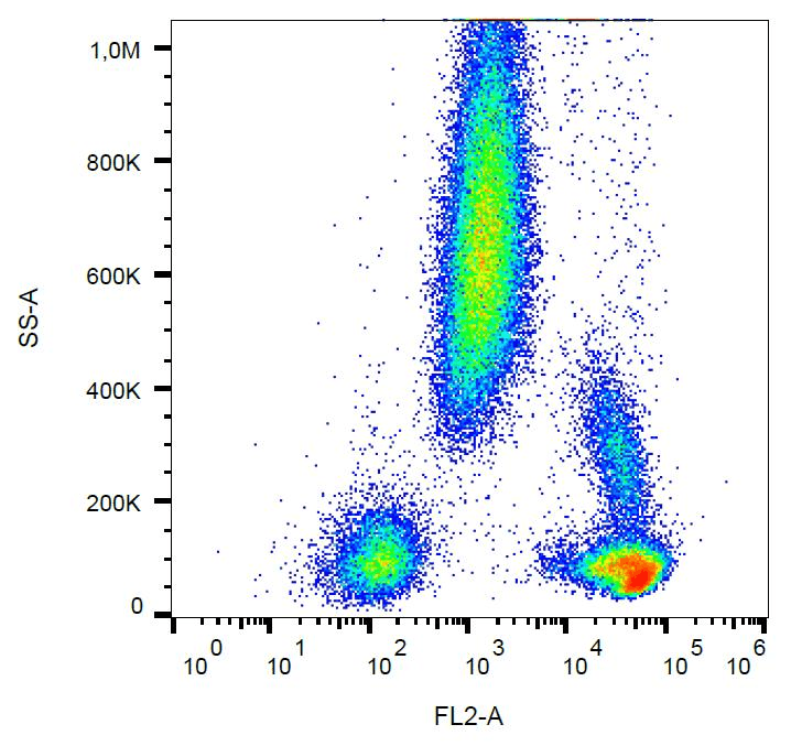 Monoclonal Mouse anti-Human CD48 Antibody (clone MEM-102, PE, IHC, WB)