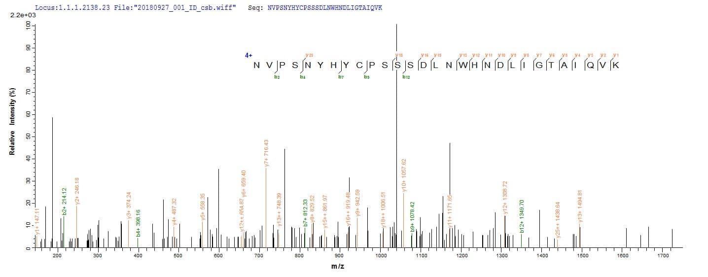 Vesicular Stomatitis Virus VSIV gG Protein (Recombinant 10His, N-terminus + Myc, C-terminus)