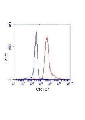 Monoclonal Mouse anti-Human CRTC1 / MECT1 / TORC1 Antibody (N-Terminus, WB)